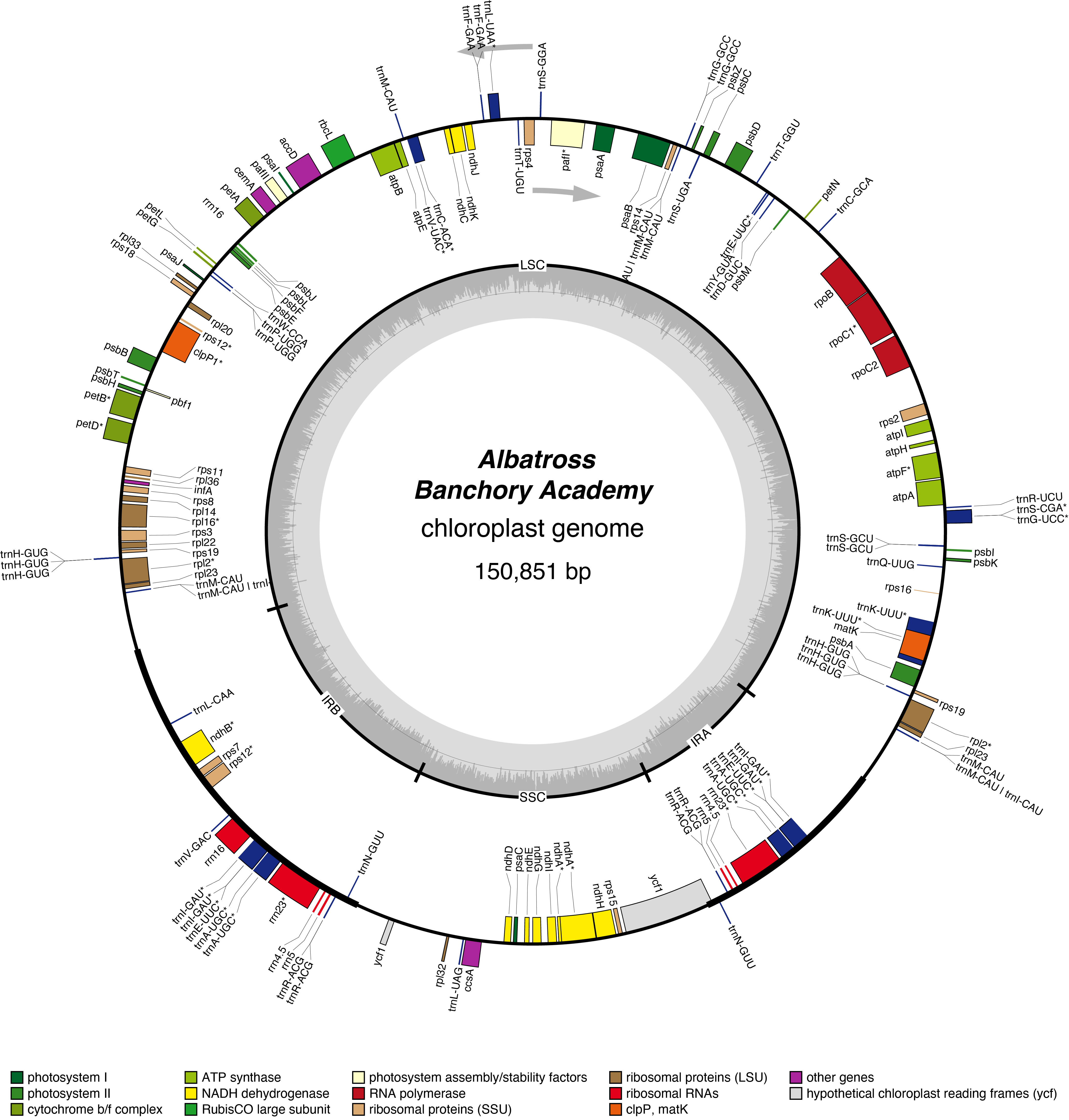 Map of 22BAalba chloroplast genome