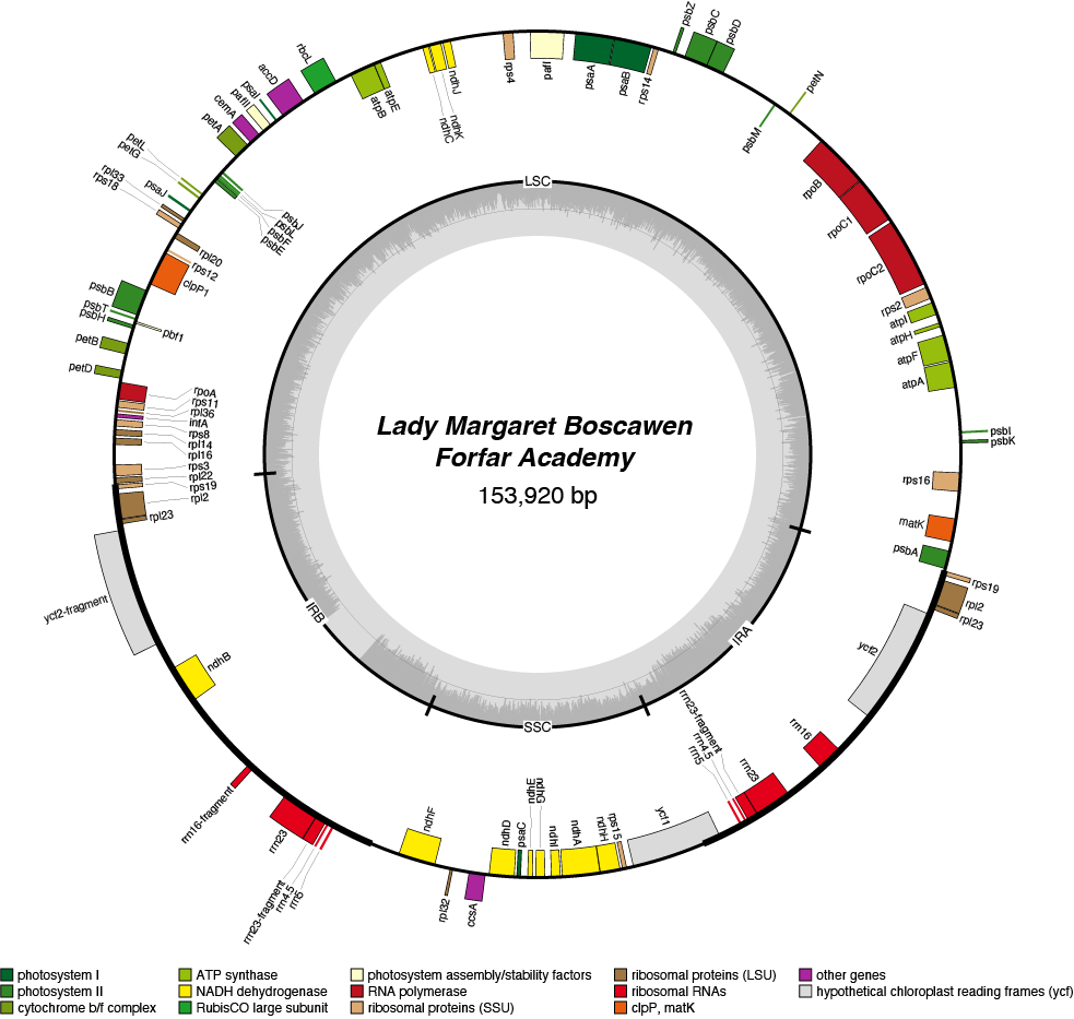22FAlama chloroplast genome map