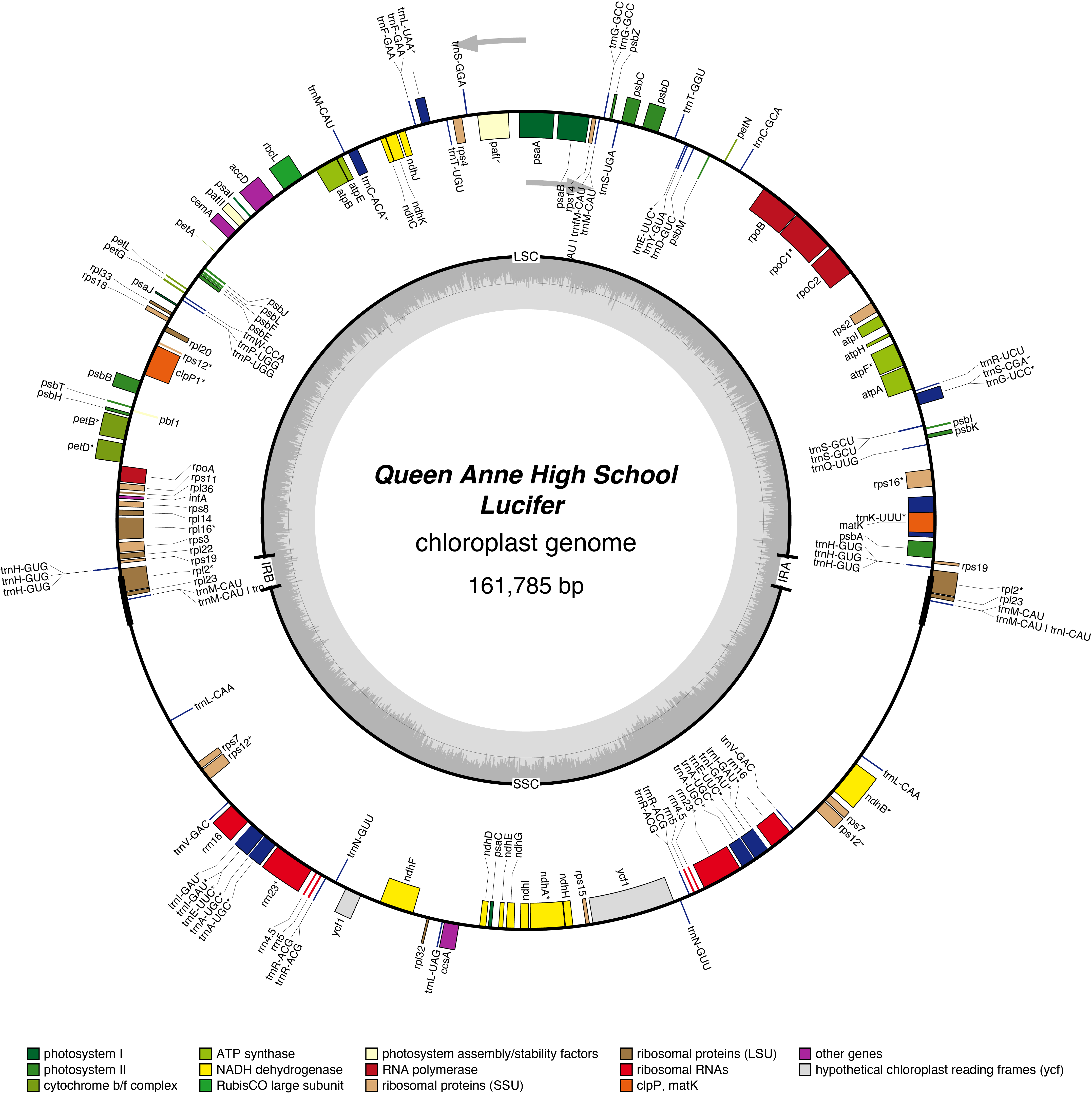 Map of 22QAluci chloroplast genome