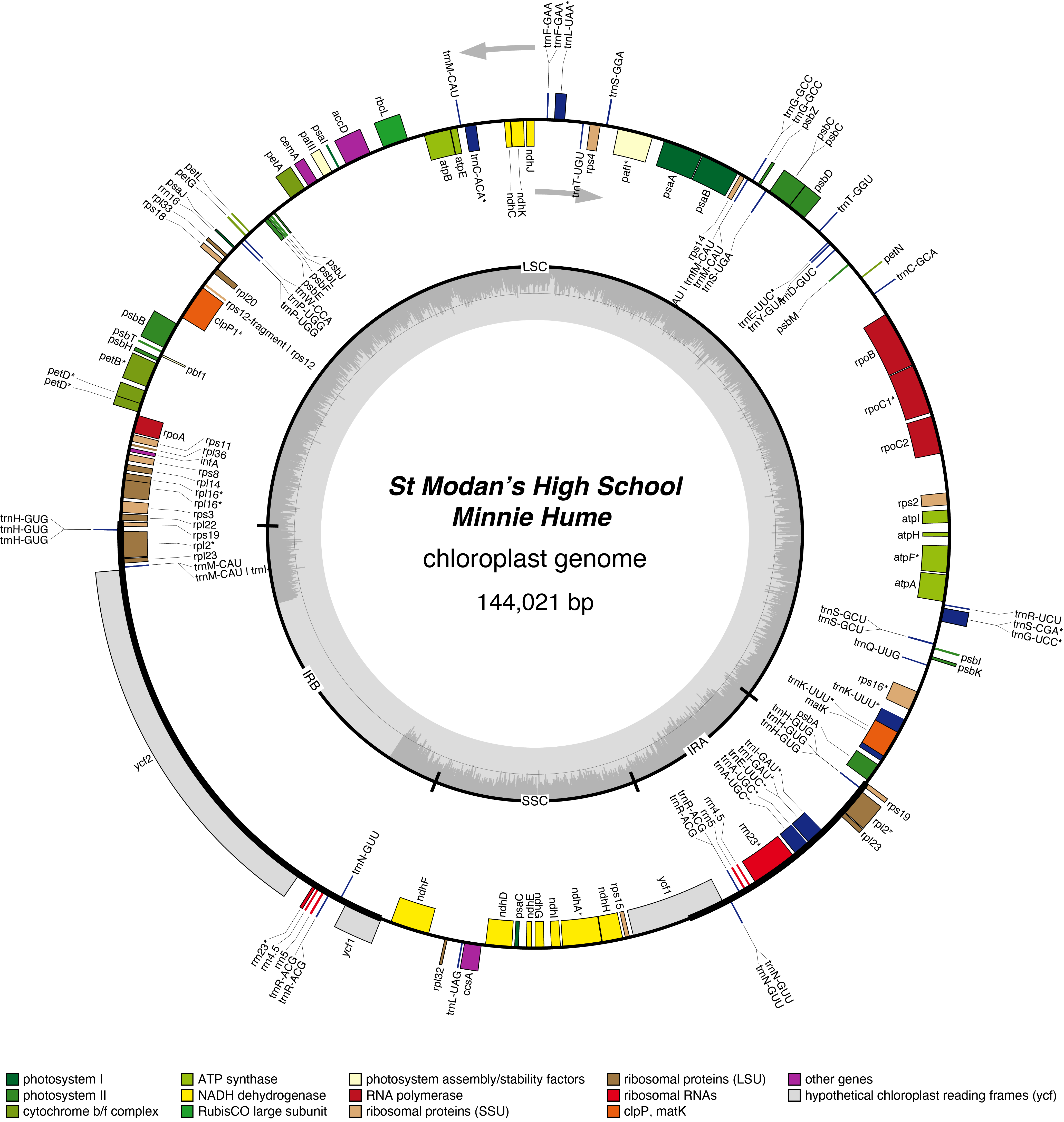 Map of 22SMmihu chloroplast genome