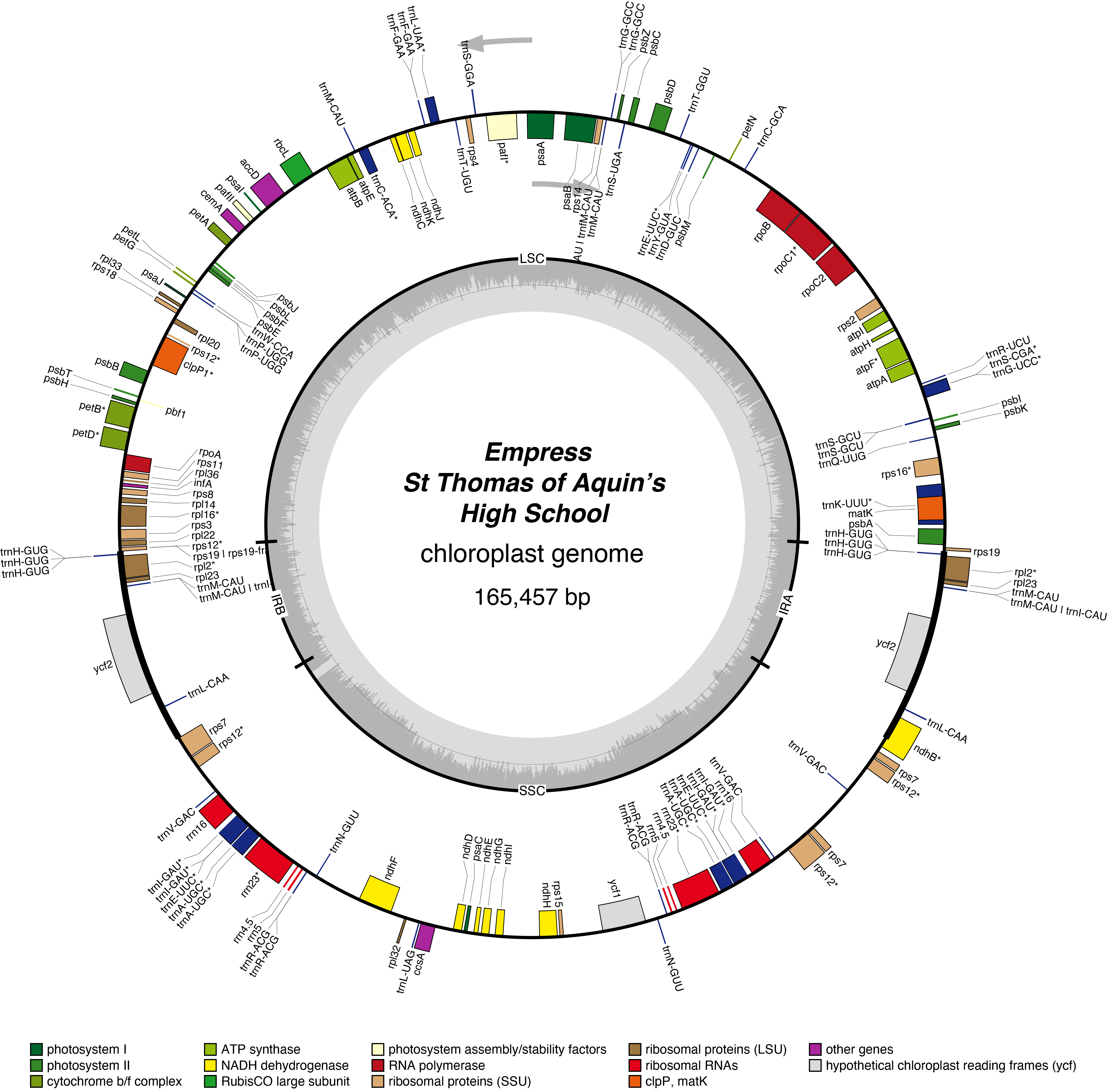 Map of 22TAempr chloroplast genome