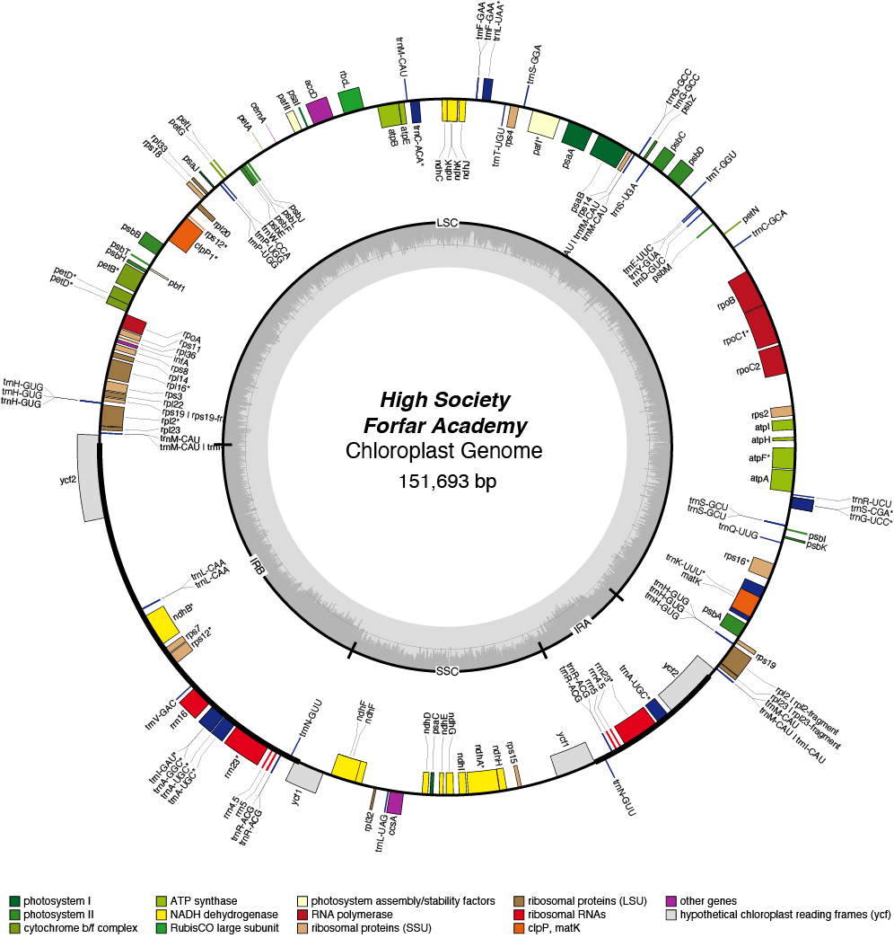 23FAhiso chloroplast genome map