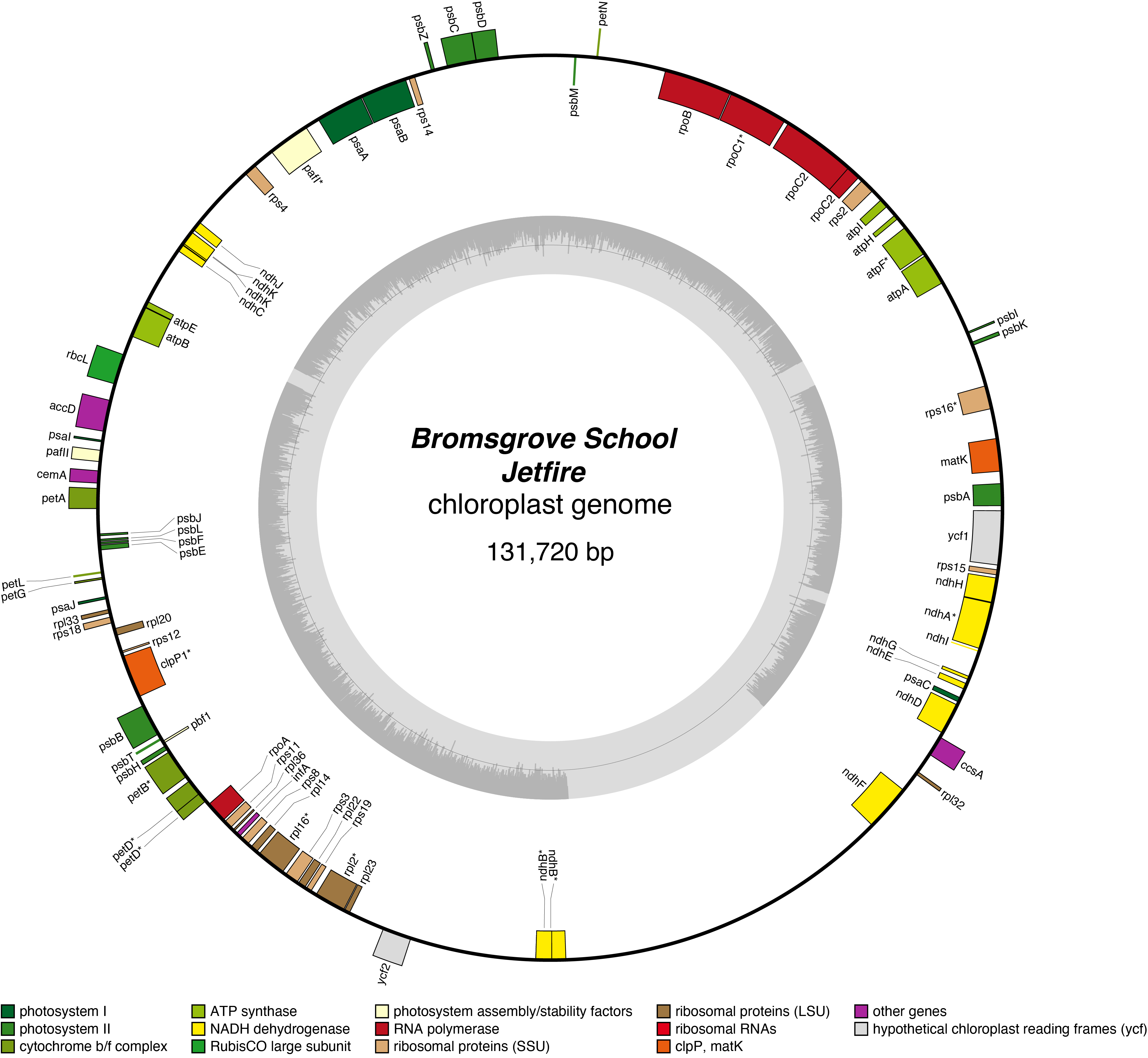 Map of 26BSjetf chloroplast genome