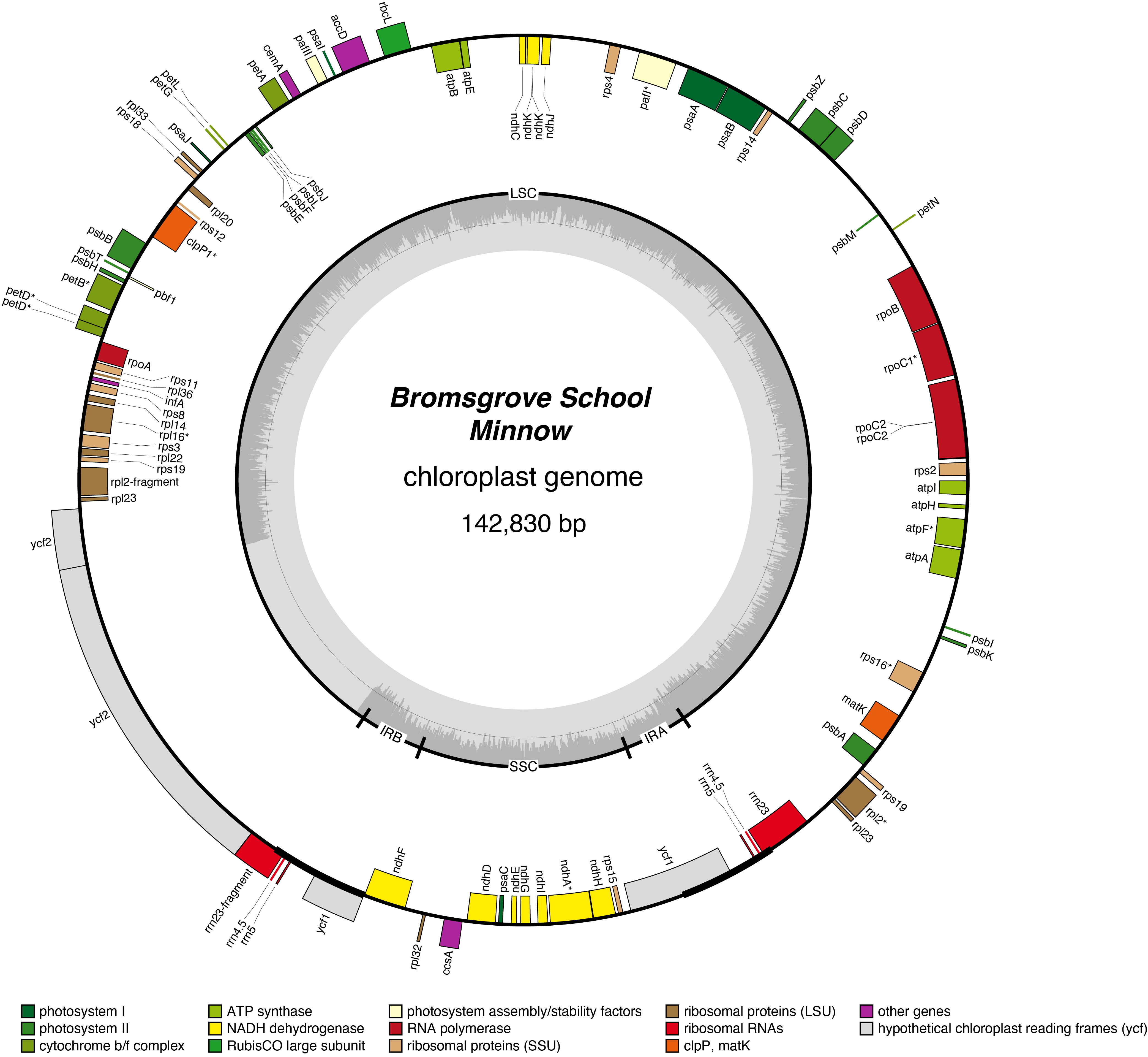 Map of 26BSminn chloroplast genome