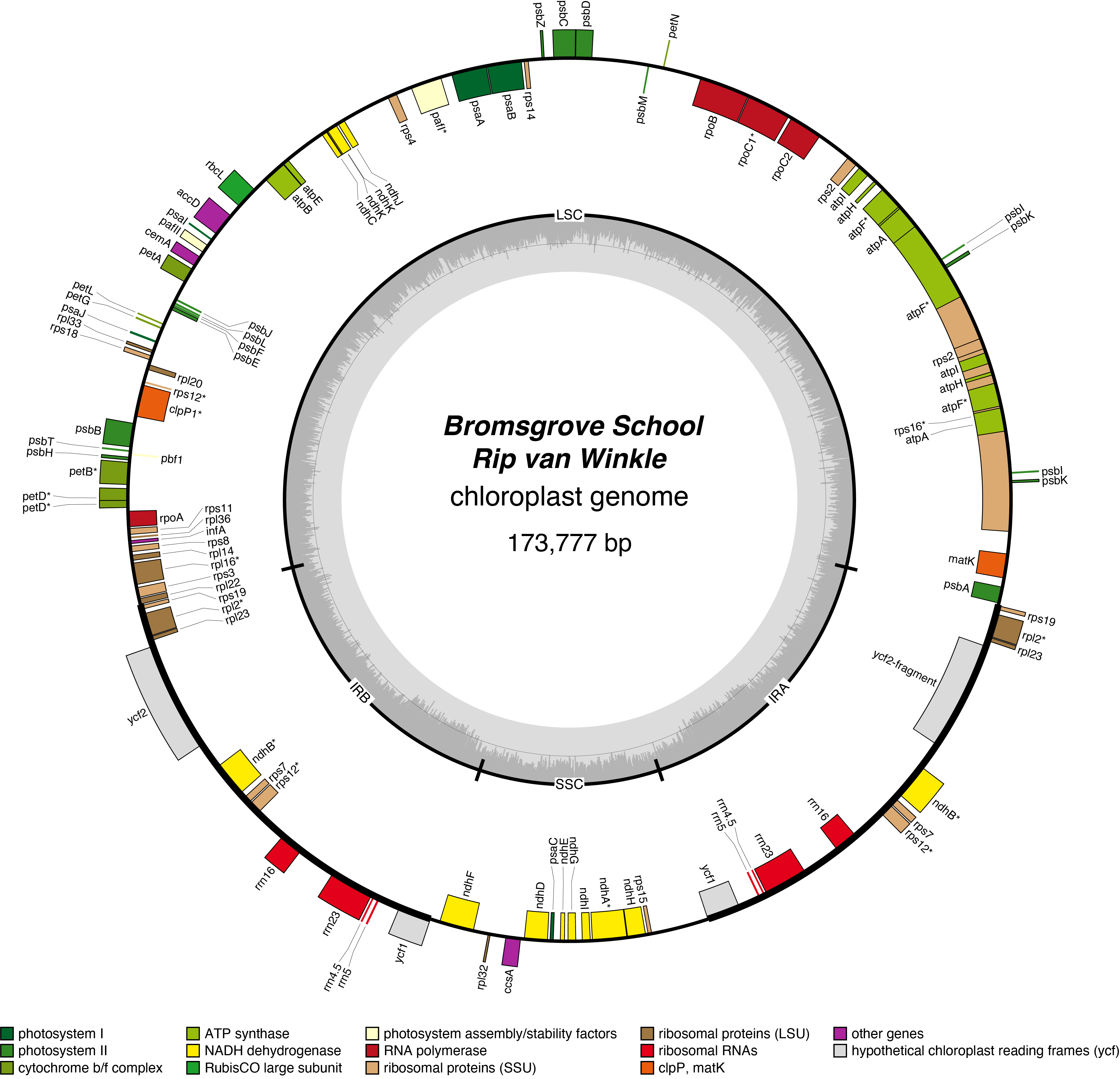 Map of 26BSripv chloroplast genome