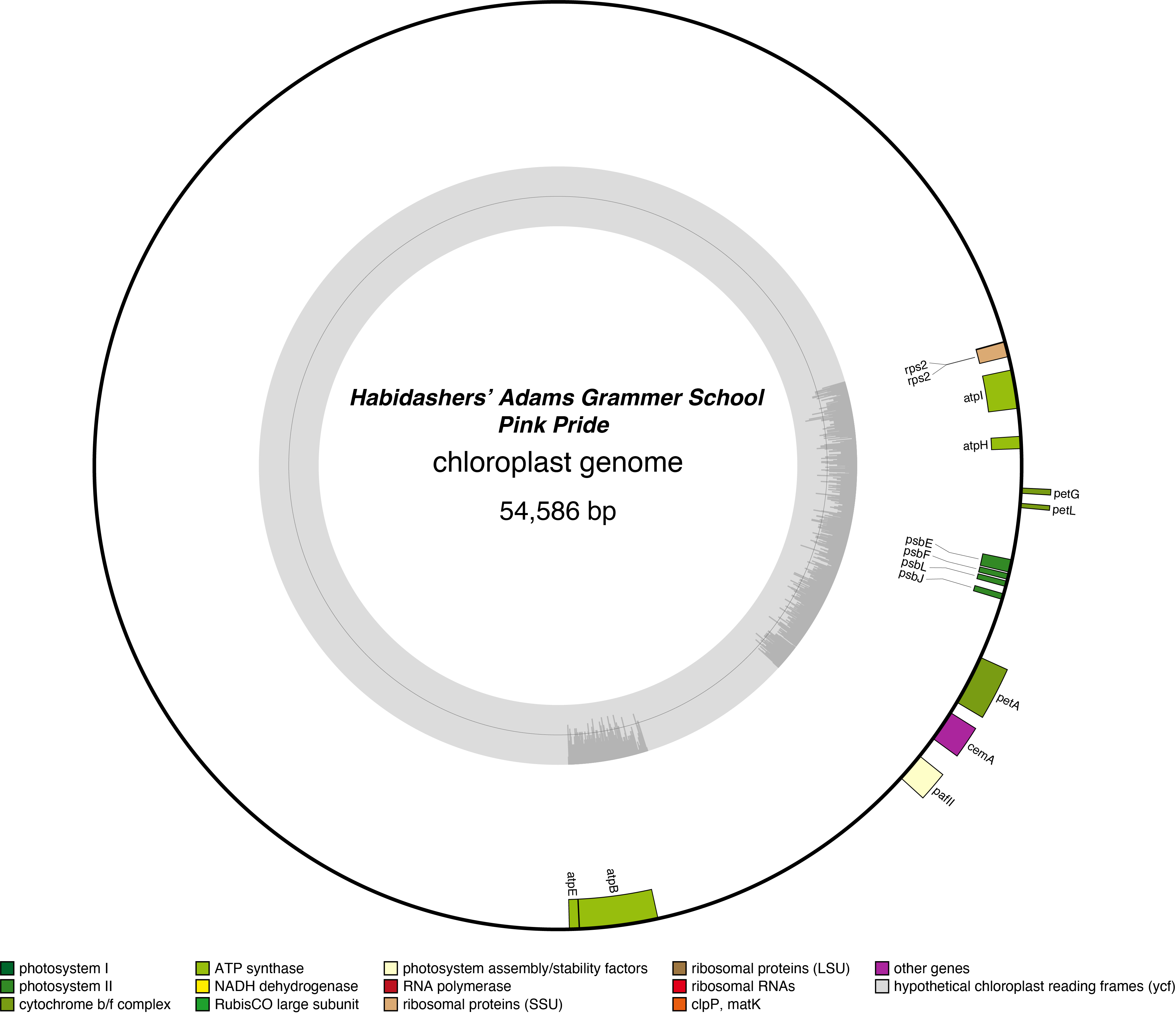 Map of 26HApipr chloroplast genome