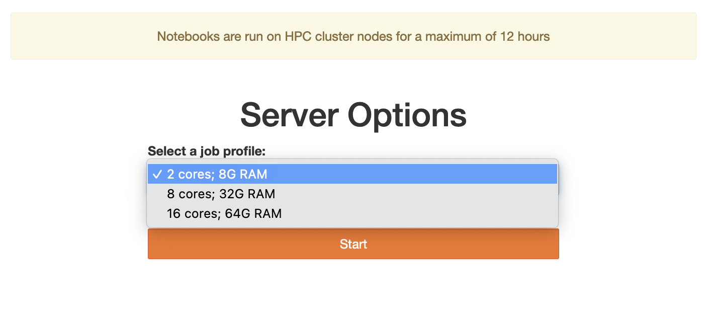 jupyterhub options dialog